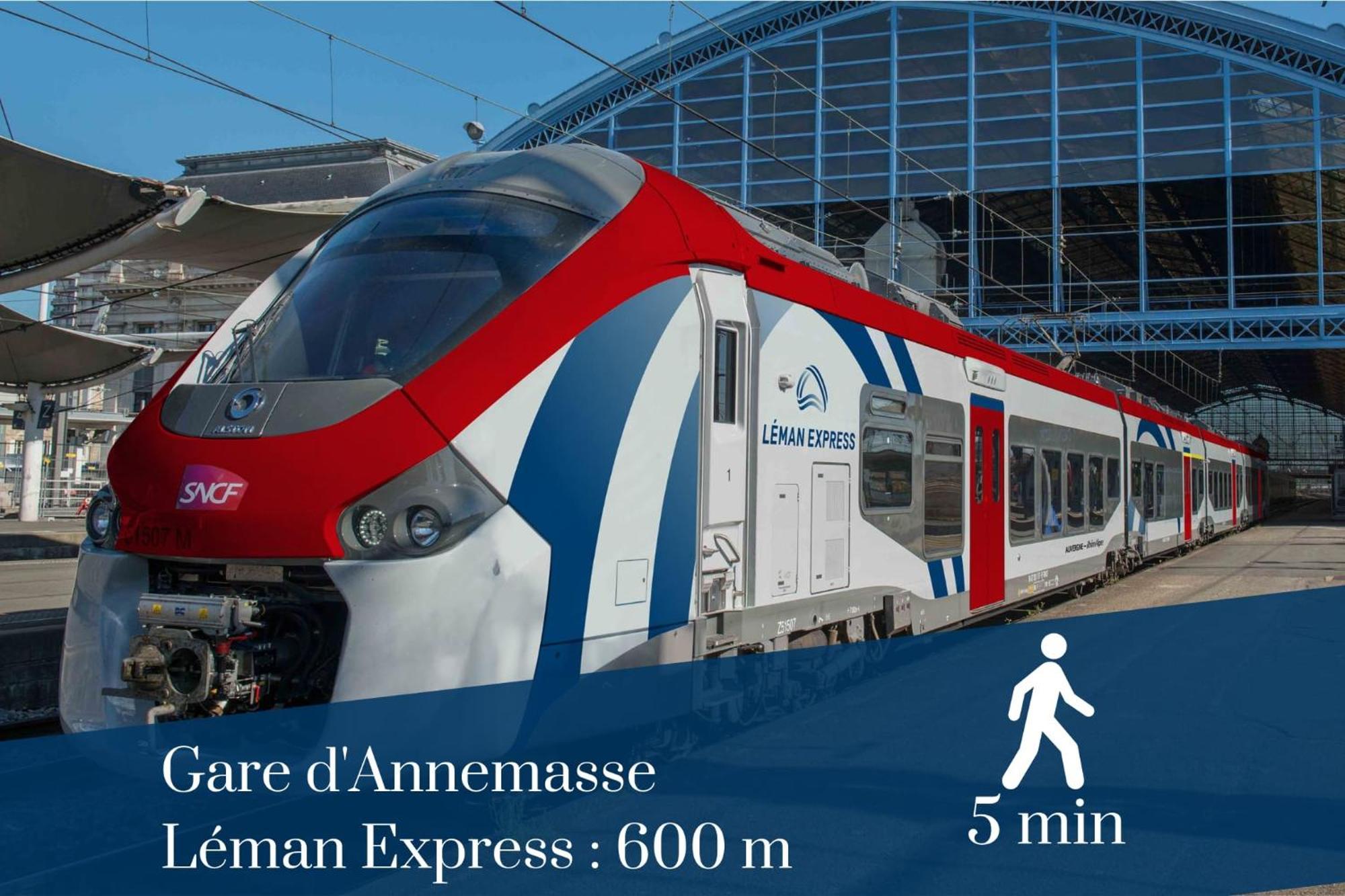 Homey Forest - Hypercentre - Proche Gare Et Tram - Wifi & Netflix Annemasse Luaran gambar
