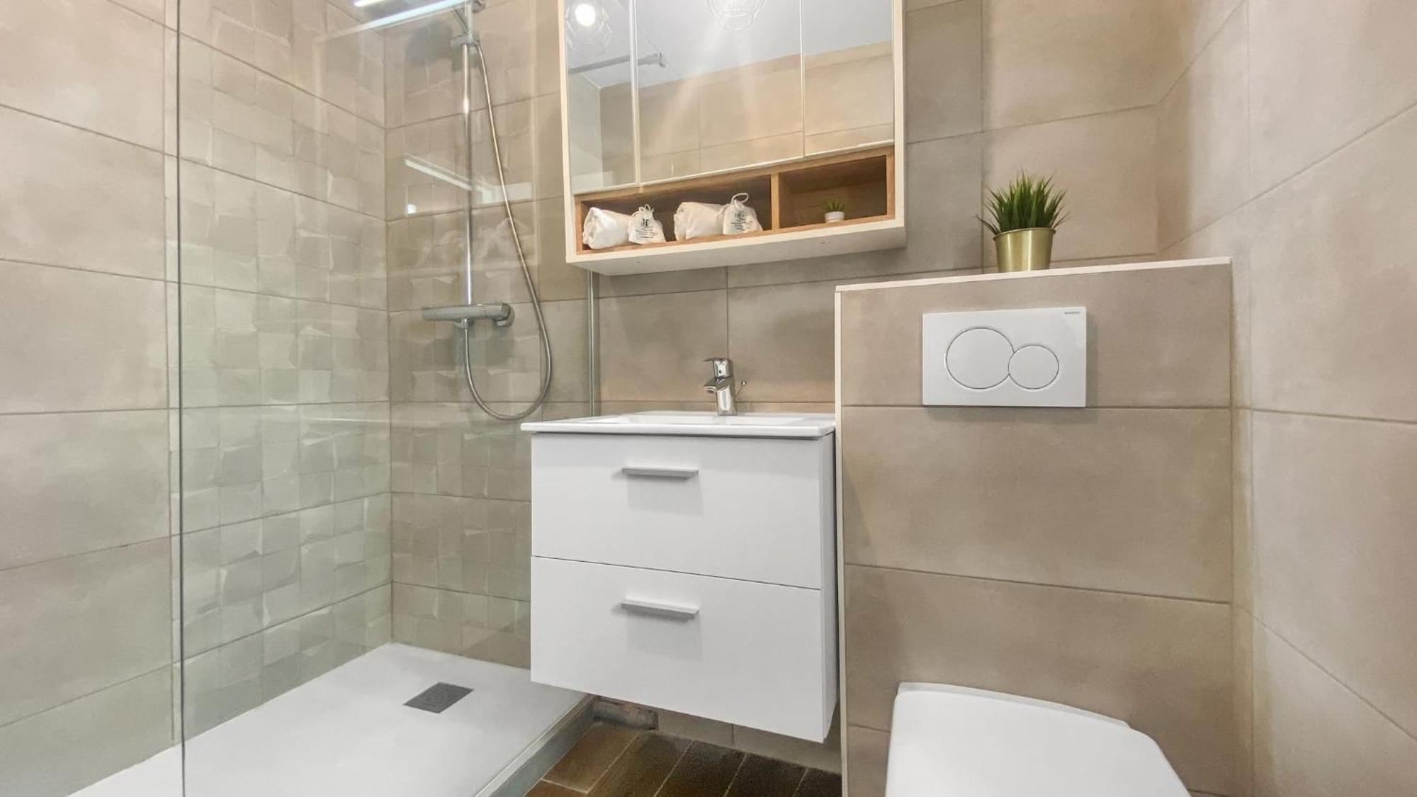 Homey Forest - Hypercentre - Proche Gare Et Tram - Wifi & Netflix Annemasse Luaran gambar