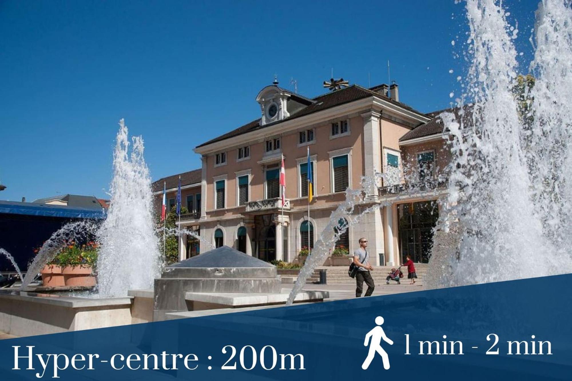 Homey Forest - Hypercentre - Proche Gare Et Tram - Wifi & Netflix Annemasse Luaran gambar